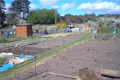  - Allotments Available